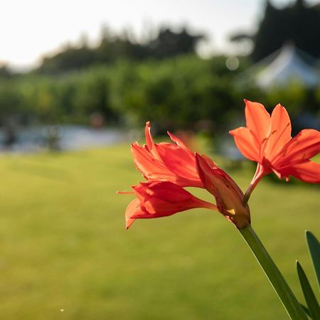 Agriturismo San Leonardello Kültér fotó