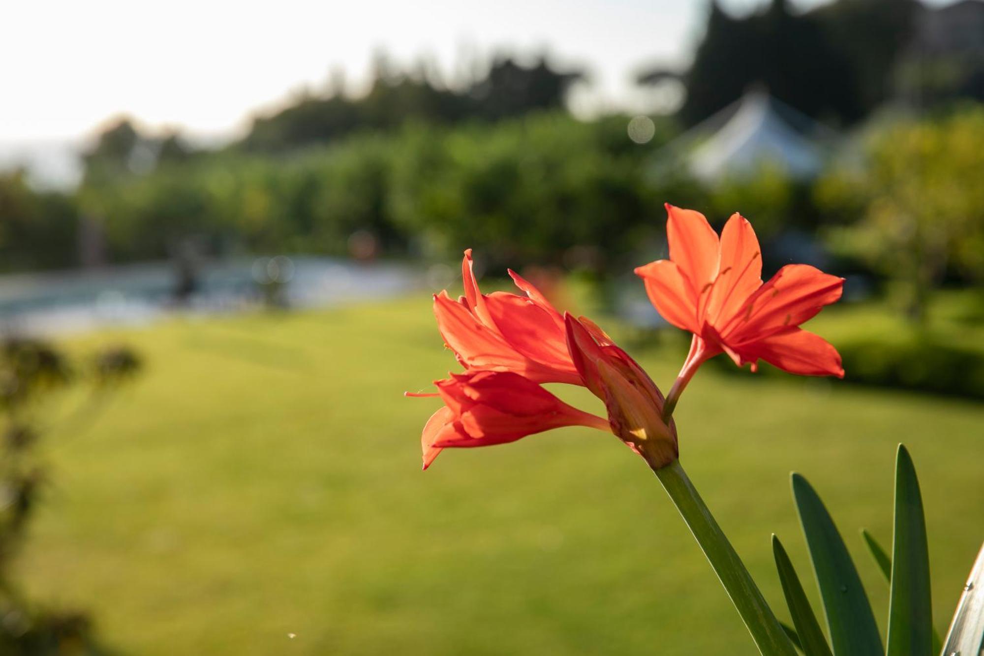 Agriturismo San Leonardello Kültér fotó