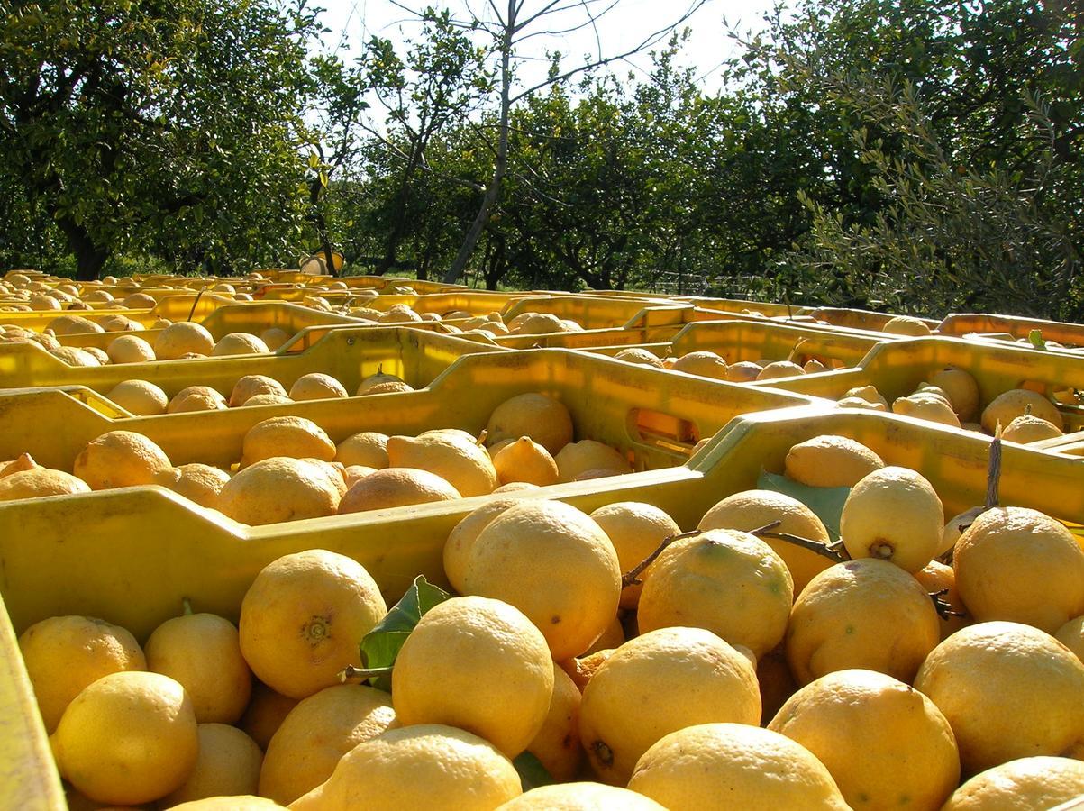Agriturismo San Leonardello Kültér fotó